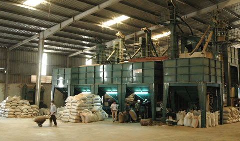 Nhà máy chế biến cà phê Thái Hòa Quảng Trị