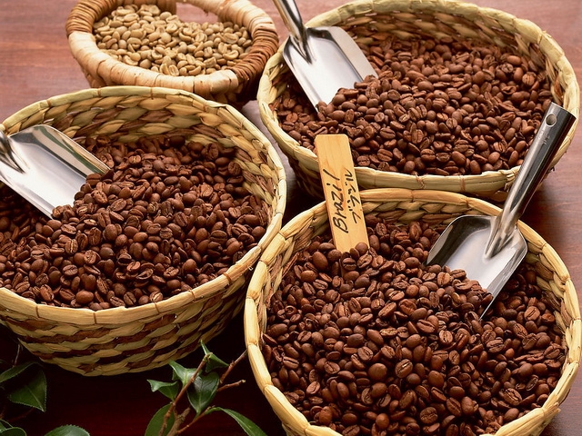 coffee-robusta-bean_8747269