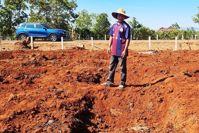 Nhiều khu đất đã được đào hố, chuẩn bị xuống giống trồng cà phê
