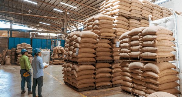 xuất khẩu cà phê